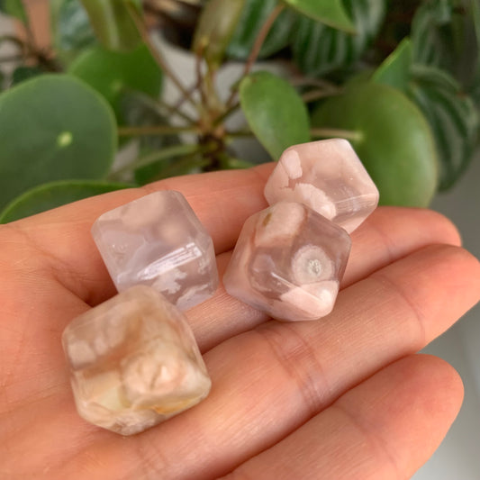Flower Agate Cube Tumbles